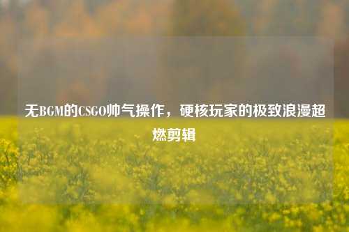 无BGM的CSGO帅气操作，硬核玩家的极致浪漫超燃剪辑