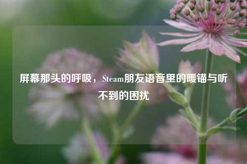 屏幕那头的呼吸，Steam朋友语音里的暖锚与听不到的困扰