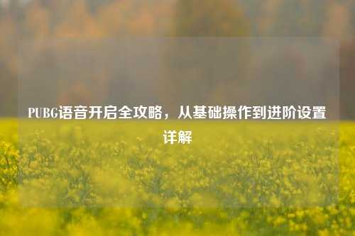 PUBG语音开启全攻略，从基础操作到进阶设置详解