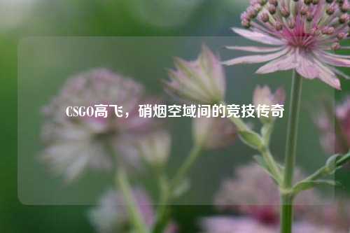 CSGO高飞，硝烟空域间的竞技传奇