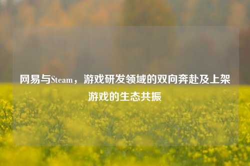 网易与Steam，游戏研发领域的双向奔赴及上架游戏的生态共振