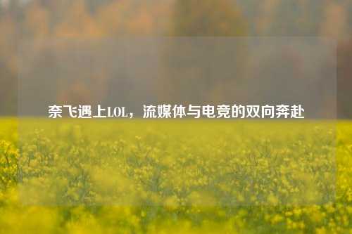 奈飞遇上LOL，流媒体与电竞的双向奔赴