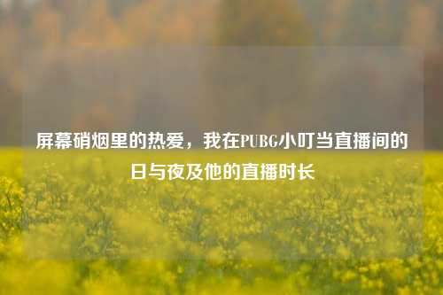 屏幕硝烟里的热爱，我在PUBG小叮当直播间的日与夜及他的直播时长