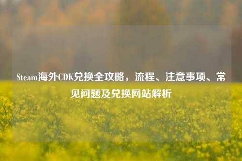 Steam海外CDK兑换全攻略，流程、注意事项、常见问题及兑换网站解析