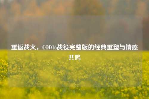 重返战火，COD16战役完整版的经典重塑与情感共鸣