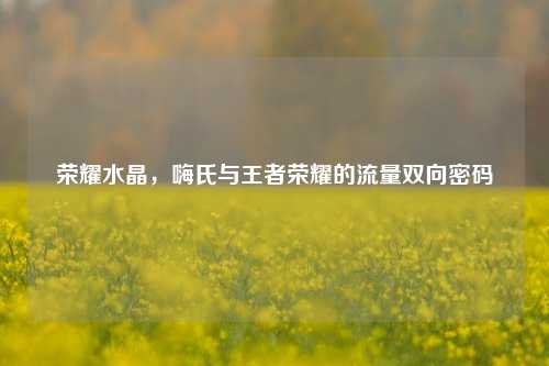 荣耀水晶，嗨氏与王者荣耀的流量双向密码