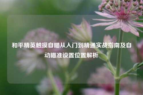 和平精英触摸自瞄从入门到精通实战指南及自动瞄准设置位置解析