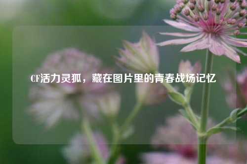 CF活力灵狐，藏在图片里的青春战场记忆