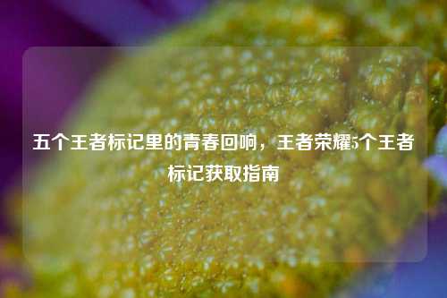 五个王者标记里的青春回响，王者荣耀5个王者标记获取指南