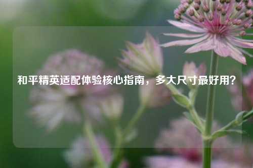 和平精英适配体验核心指南，多大尺寸最好用？