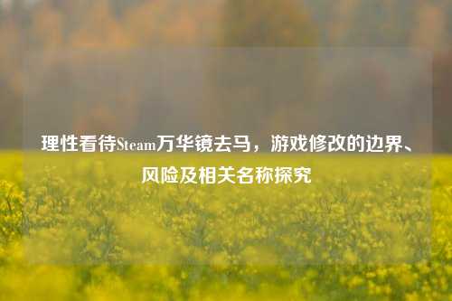 理性看待Steam万华镜去马，游戏修改的边界、风险及相关名称探究