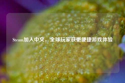Steam加入中文，全球玩家获更便捷游戏体验