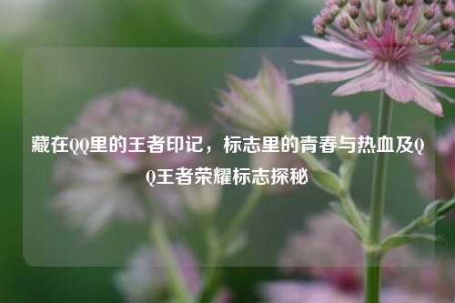 藏在QQ里的王者印记，标志里的青春与热血及QQ王者荣耀标志探秘