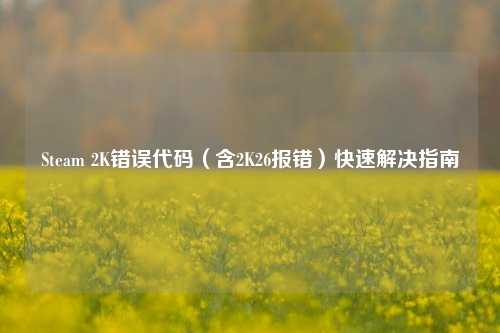 Steam 2K错误代码（含2K26报错）快速解决指南