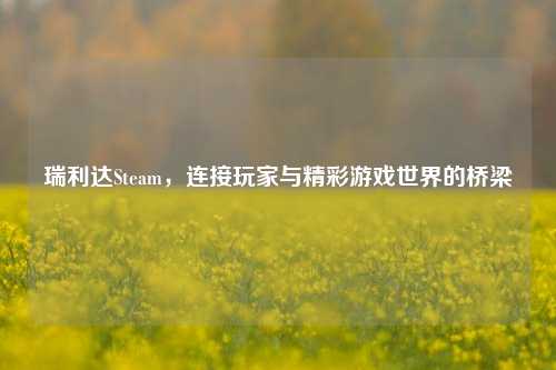 瑞利达Steam，连接玩家与精彩游戏世界的桥梁