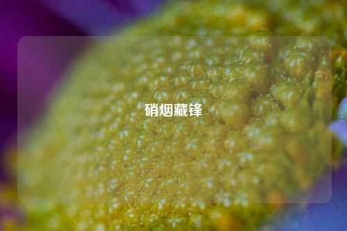硝烟藏锋