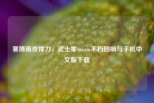 赛博雨夜挥刀，武士零Steam不朽回响与手机中文版下载